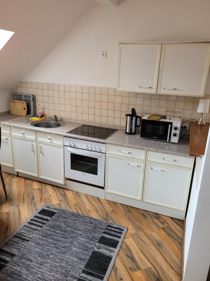 3 Zimmer Wohnung Fuer 6 Personen Gossnitz Экстерьер фото